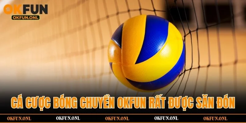Cá cược bóng chuyền OKFUN rất được săn đón